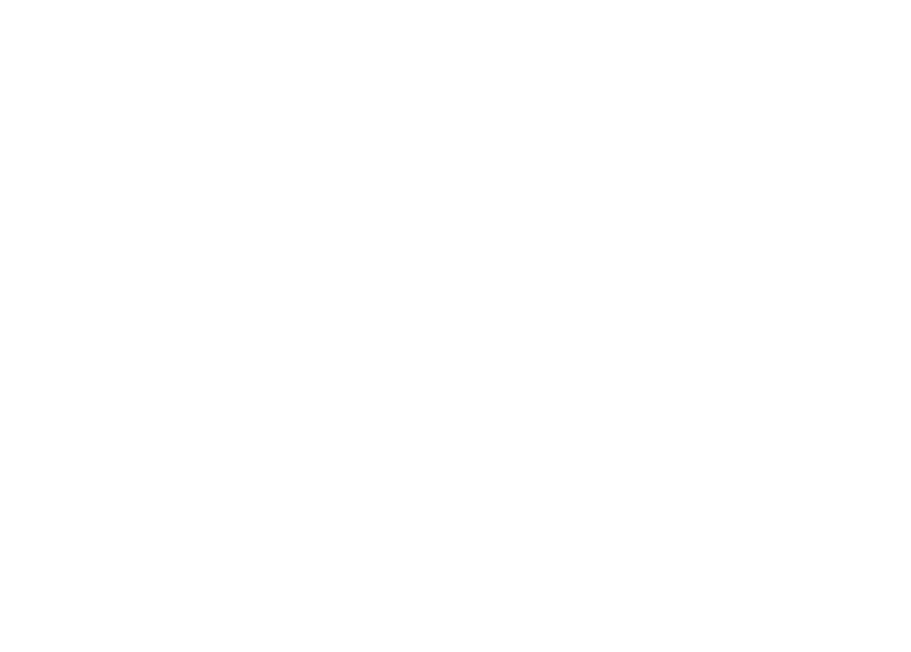 Forged Irish Stout